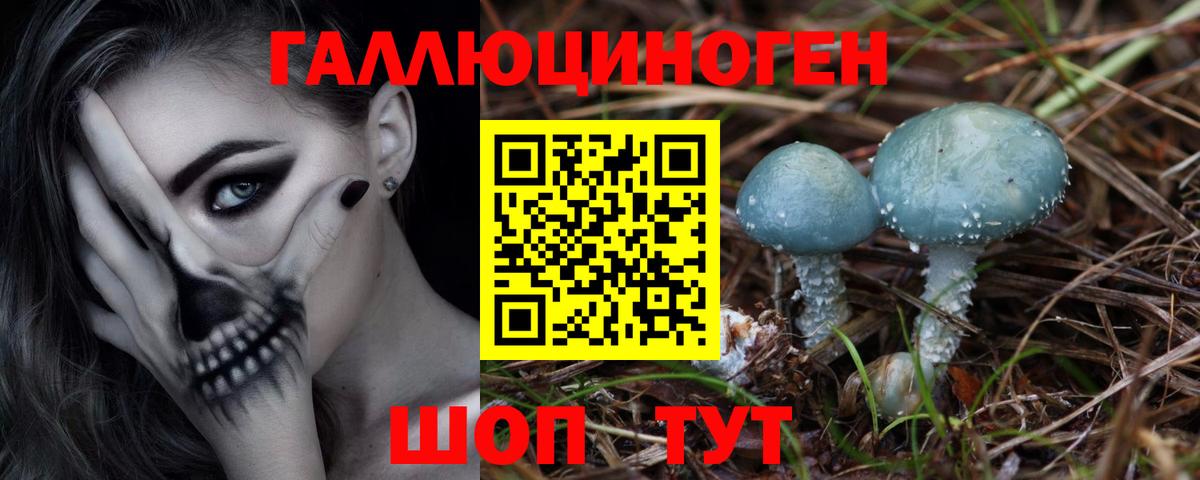 Заречный  Галлюциногенные грибы Magic Shrooms  где продают наркотики  Вход с VPN 